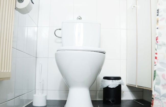 Bed'n'Work Apartment Mitte - Foto 16