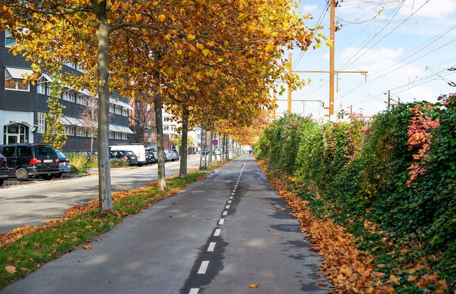 Hyggelig Two-bedroom Apartment in Copenhagen Osterbro - Foto 28