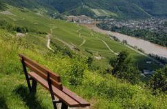 Apartment an der Mosel 2 - Foto 61