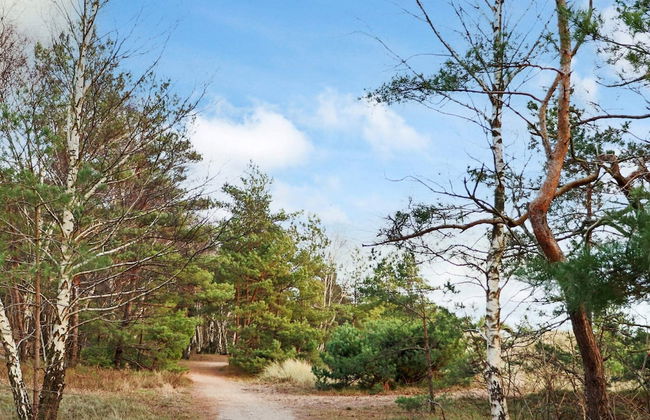 4 Star Holiday Home in Halmstad - Foto 6