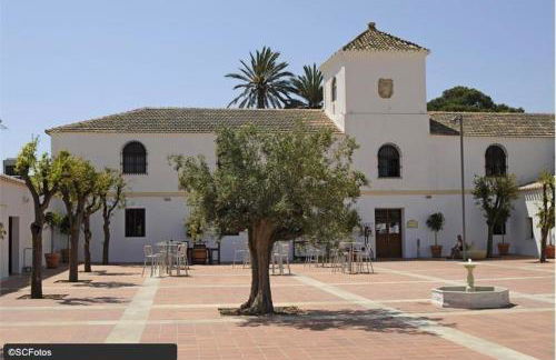 Calle Atlantico 74 3B Penthouse - Foto 22