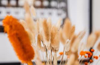 Casa del Fotografo, a due passi dall'accademia - Foto 23