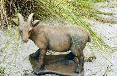 The Beach Goat - Foto 8