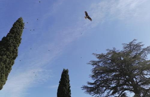 A l Aube du Midi - Foto 44