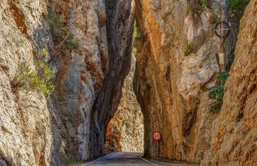 Ca n'aina - Photo 30