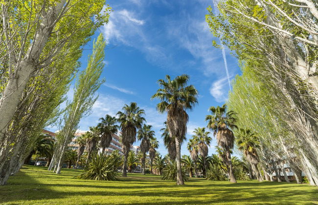 Costa Encantada Suites & Resort - Foto 77