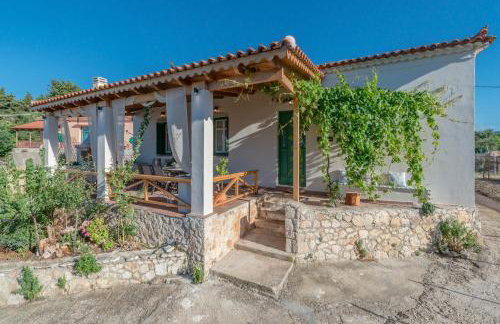 Sempreviva - Foto 77