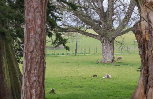 The Old Piggery - Foto 29