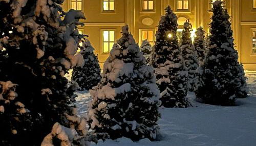 Arboris - Retreat into the open - Photo 5