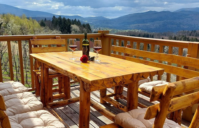 Vineyard cottage Stopar - Foto 14