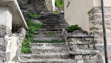 Verde Bosco - Foto 4