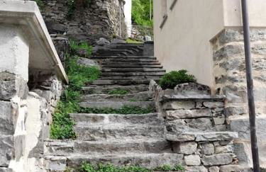 Verde Bosco - Photo 4