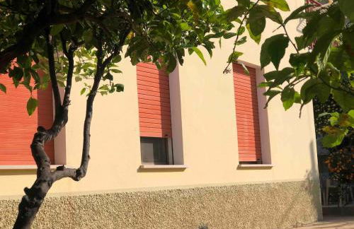 Under the Lemon Tree - Foto 11