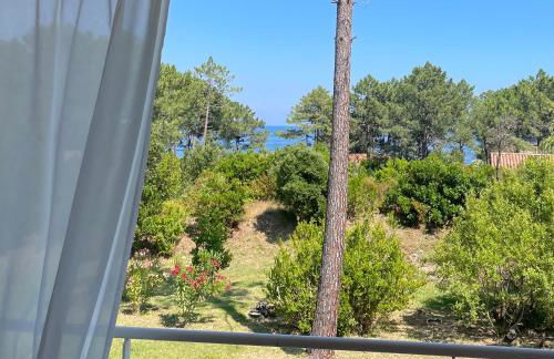 Domaine de Pianiccia - Foto 8