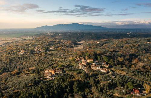 Pura Apartment - Foto 18