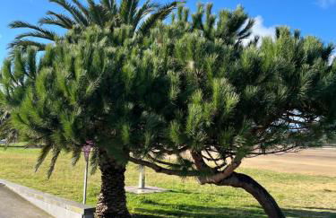 El Rincón de la Playa - Foto 17