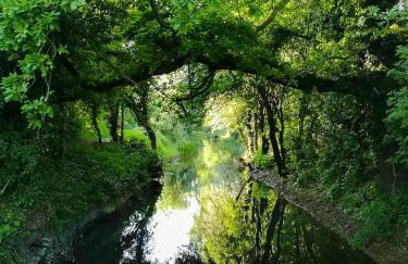 The Lakehouse Onsite Free Pools & Spa - Foto 19