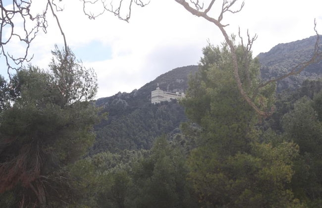 Masia La Safranera - Foto 44