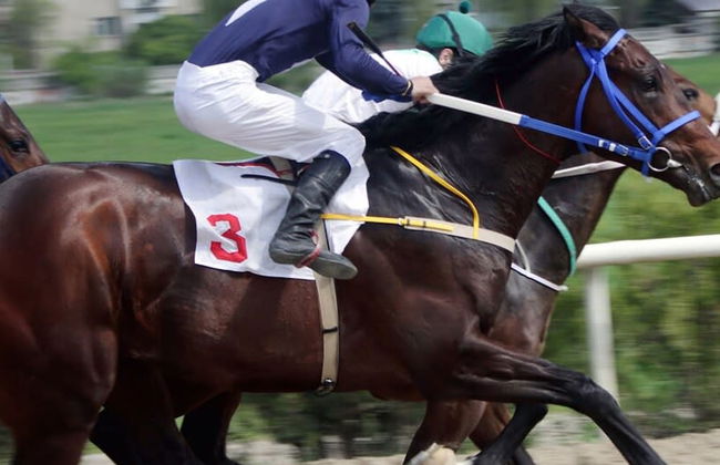 The Lombard House - City Centre - Foto 21