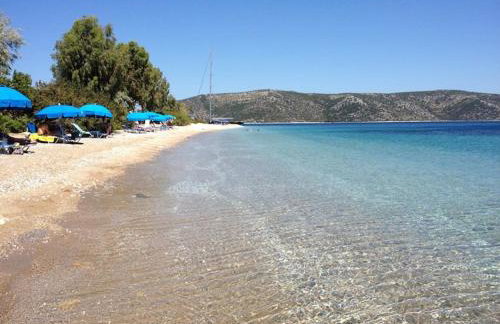 Magnolia Apartment - Foto 10