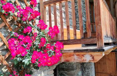 Appartamento Chatrian 2 CIR-TORGNON-0019 - Foto 8