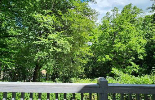 The Big Witch - Foto 33