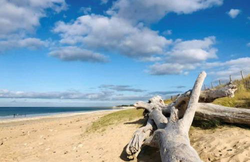 Golf Saint Cyprien ground floor 2 bedrooms Apartment with terrace - Photo 53