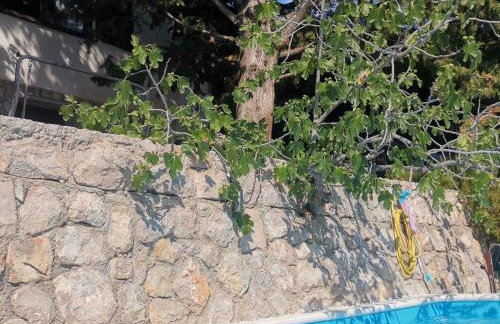 Holiday Home mit Pool in Lukovo Sugarje by Interhome - Foto 15