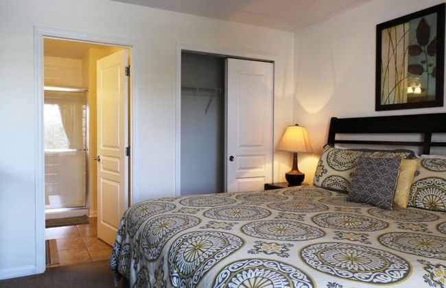 6BR 4BA Home in Windsor Hills by CV-2534 - Foto 12