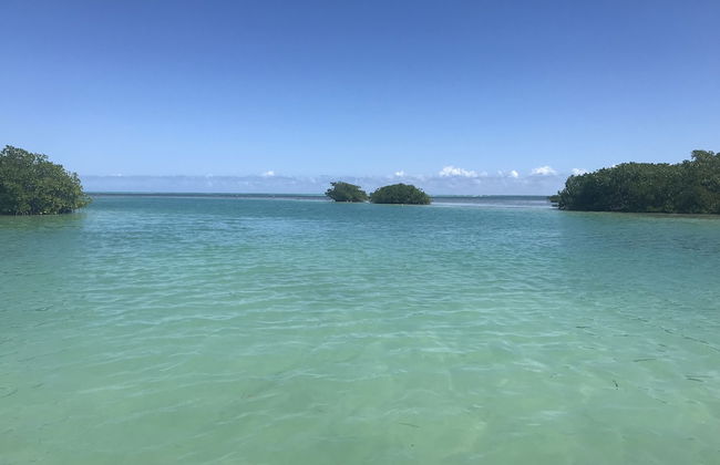 Shaka Caye - Photo 66