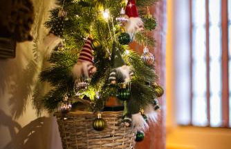 Silyvo Cottage - Foto 37