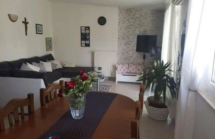 Villa Surać - Foto 8