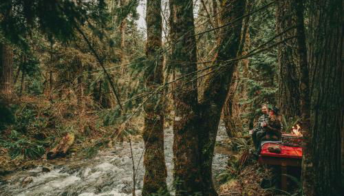 Forest Haven, Fantastic Nature Retreat! - Foto 3