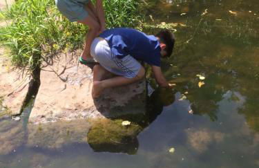 Thatch Close Cottages - Foto 54