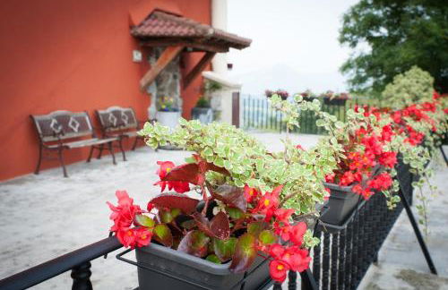 Agroturismo Artola - Foto 28