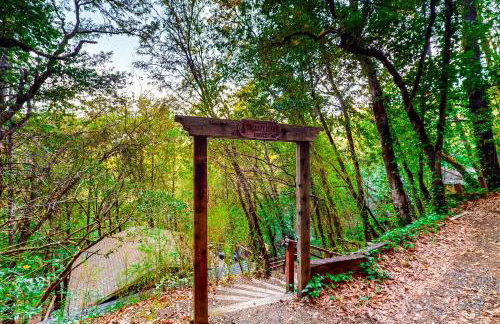 The Lazy Bear - Foto 25