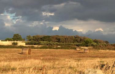 La Maranedda - Foto 15