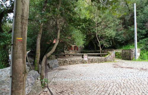 Moinho das fragas - Foto 34