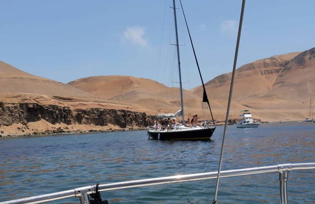 Pesca de veleiro privado pela ilha El Frontón - Foto 7