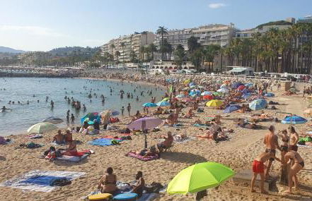 Bel Appartement Typique proche du Palais et Plages - Photo 23