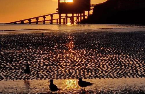 Adorable bedsit for you, partner and your pet! - Foto 45