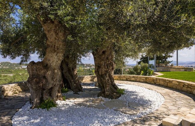 OliveNest Chania - Foto 51