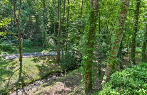 Smoky Mtn Cottage on Creek with Lanai and Forest Views - Foto 24