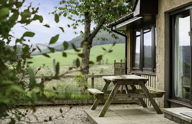 Achmony Number 8 - Foto 23