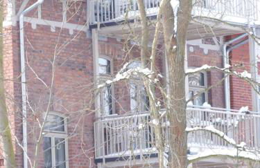 Ferienwohnungen Strauß am Botanischen Garten in Eschwege - Foto 33