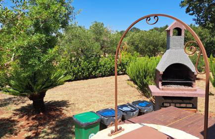 Fogliantica Azienda Agrituristica - Foto 61