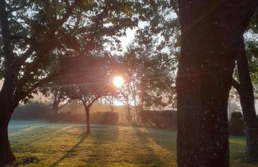 DANS LA MAISON D'A COTE - Foto 12