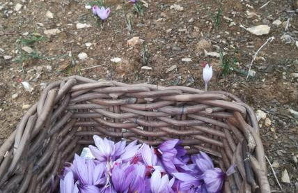 Agriturismo Selvella - Foto 38