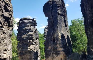 Auf-der-Muehlwiese - Foto 50