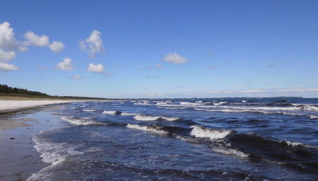 Saupe Comfortable Holiday Residence - Foto 4, Habitación